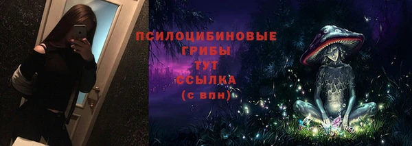 шишки Алзамай