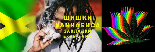 шишки Алзамай