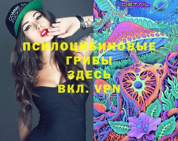 шишки Алзамай