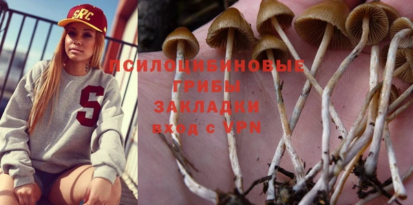 шишки Алзамай