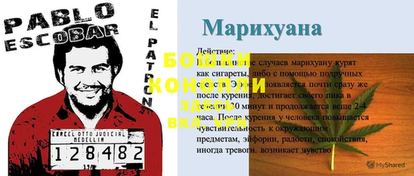 шишки Алзамай