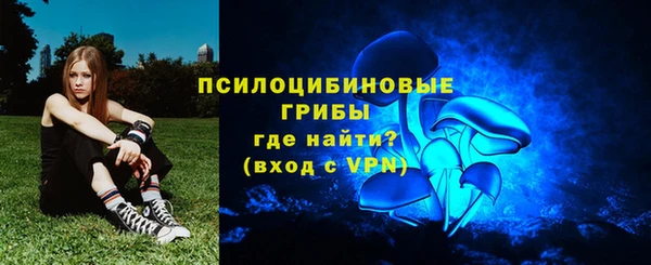 apvp Алексеевка