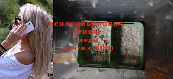 шишки Алзамай