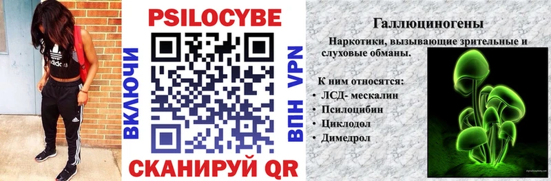 Галлюциногенные грибы мицелий Порхов