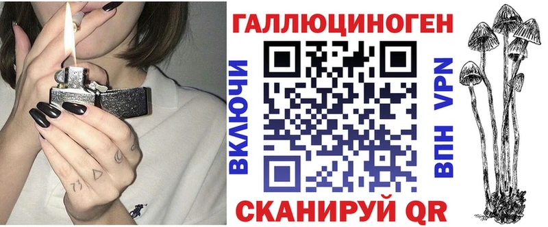 где можно купить   Порхов  Псилоцибиновые грибы Psilocybine cubensis 